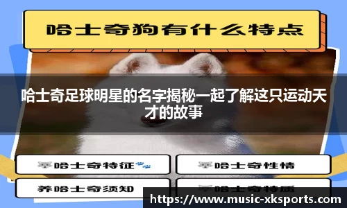 哈士奇足球明星的名字揭秘一起了解这只运动天才的故事